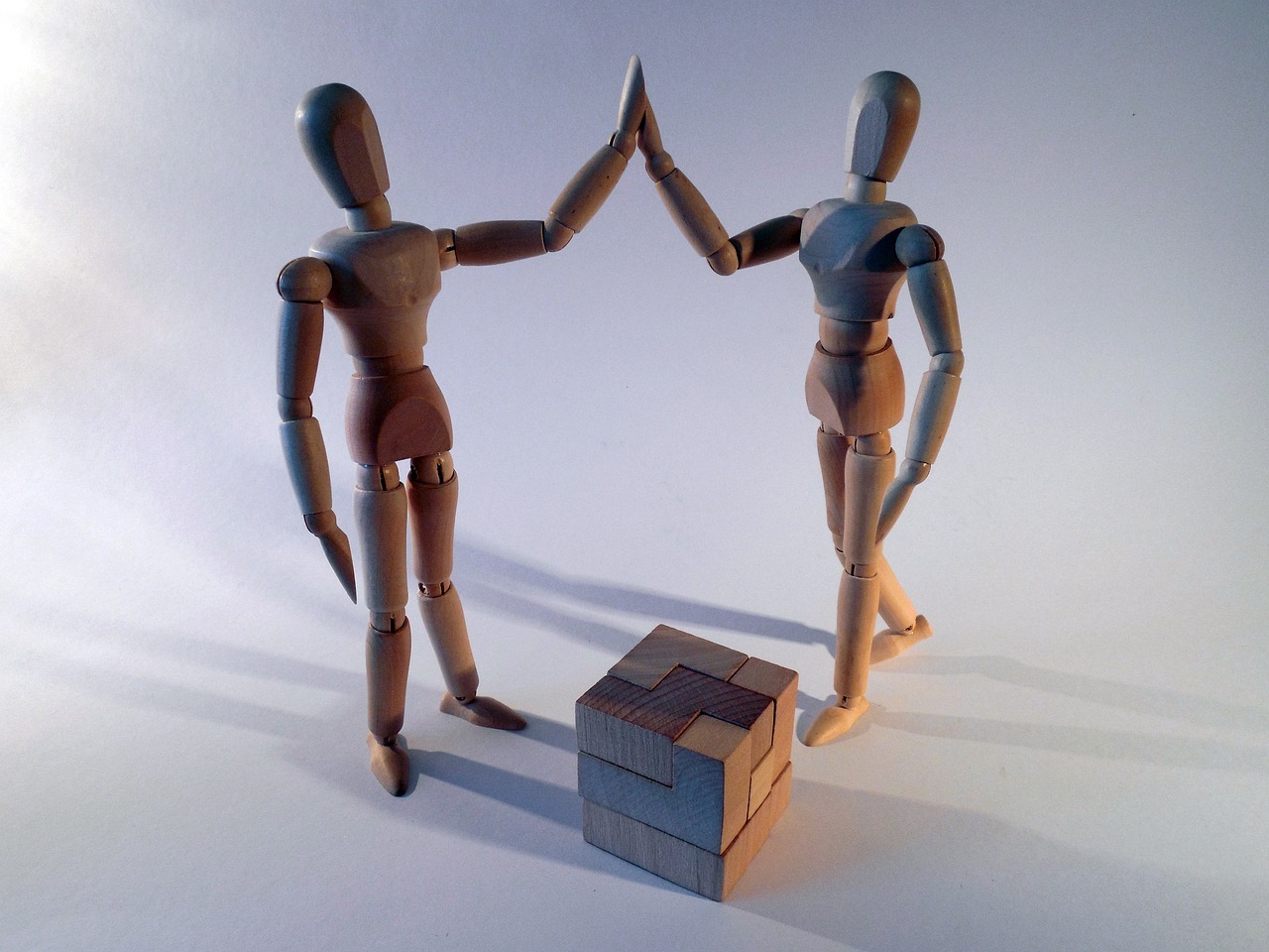 Crear y aportar valor al cliente