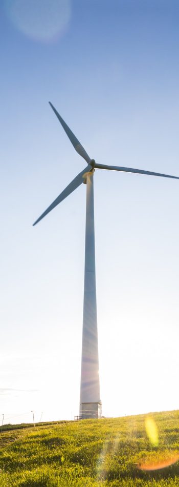 Energía eólica, energía limpia